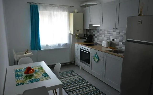 Cosy Home at 100 m from Iulius Town