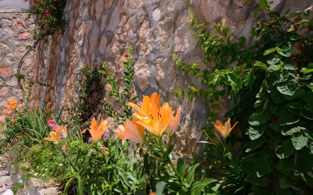 Villa Baris by Akdenizvillam