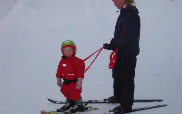 Nystølen Hyttegrend