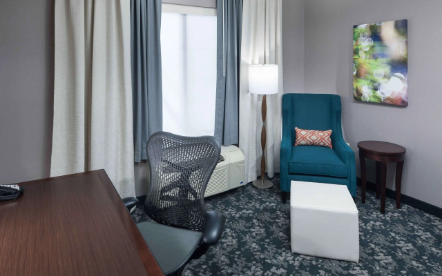 Hilton Garden Inn Detroit/Novi