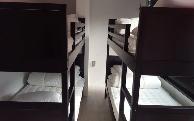 Amazon Guesthouse - Hostel