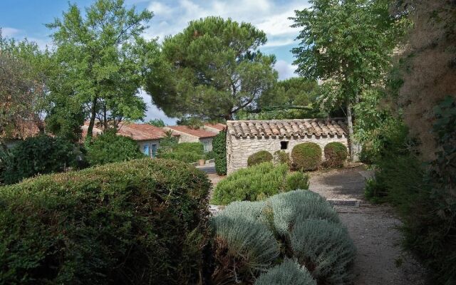 Cyprès du Paradis à Gordes