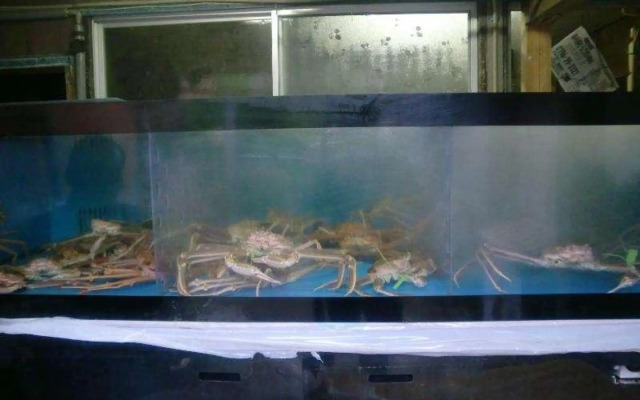 Minshuku Ryokan Miuraya