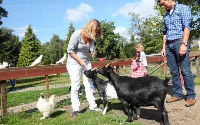 Vakantiepark Het Roekenbosch