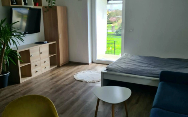 Rooms and apartments Vili