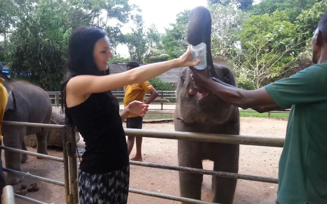 Elephant Reach Villa Pinnawala