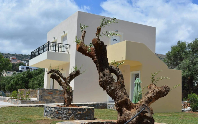 Olive Grove Apartments