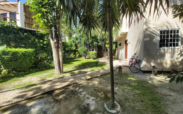 Mini Pini Birdwatching and Cenote Loft4 you Only