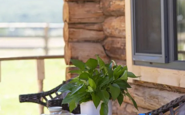ZARAT · Natural Coffee Designer Boutique Homestay (Kanas New Village Branch) – Outside – Altay