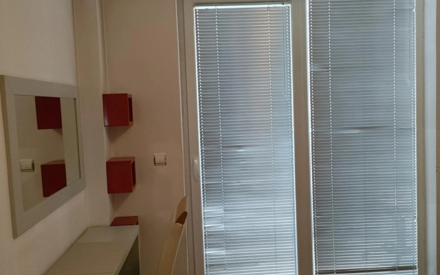 Central apartment
