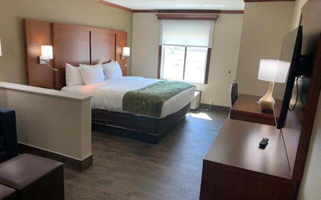 Comfort Suites West Monroe near Ike Hamilton Expo Center