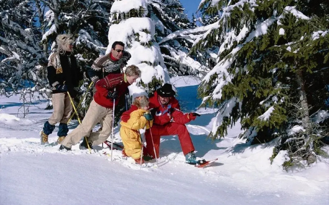 Hôtel Bellevue Le Rocheray