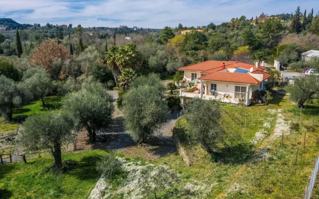 Doctor'S House In The Nature