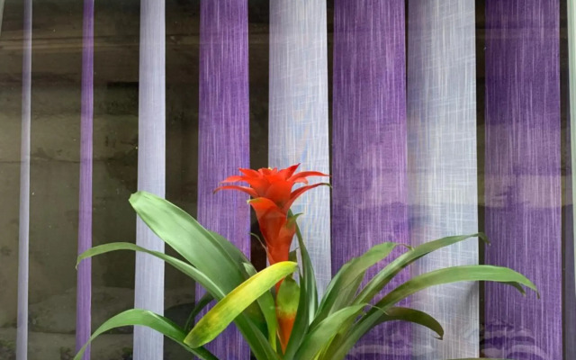 Pensiunea Casa Maria