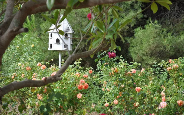 Belle Escapes Barossa Valley Lyndoch