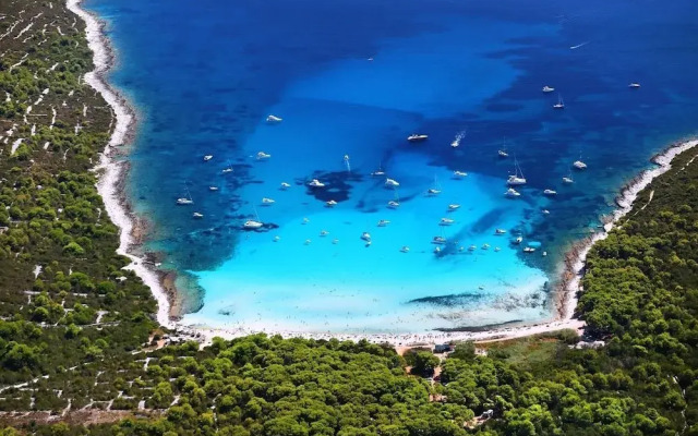 Buga - Close to the Beach & Comfortable - A1