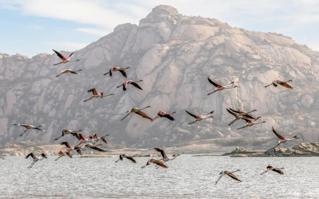 Lords Eco Inn Jawai-Sumerpur