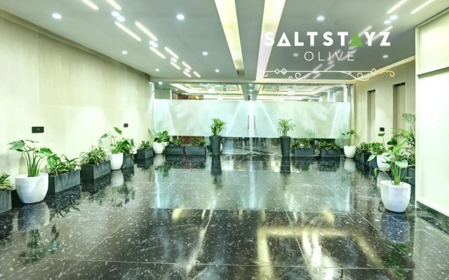 Saltstayz Select - Pitampura