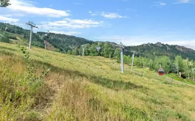 Deluxe Three Bedroom - Aspen Alps 201