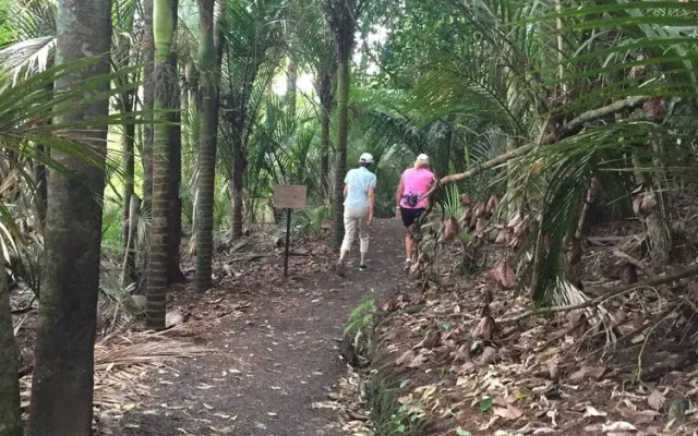 Okura River Estate BB