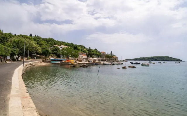 Hidden Gem Apartment