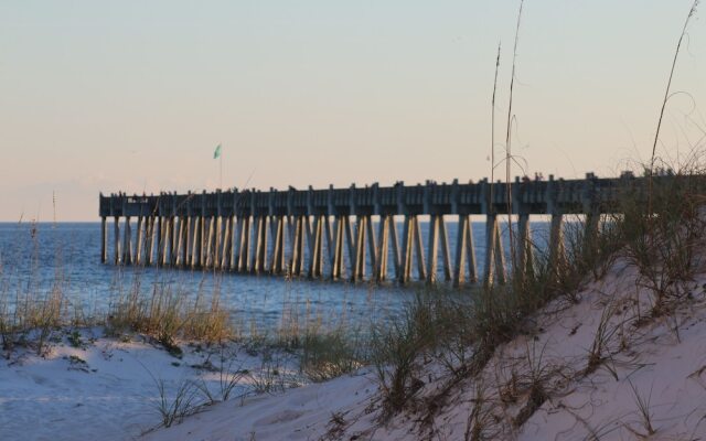 Emerald Dolphin by Surfside VR