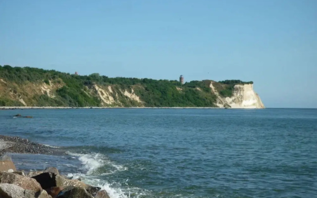 Red-throated Diver Modern Retreat