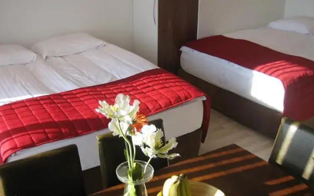 Ace Guesthouse