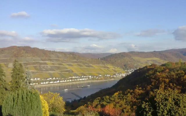 Schau-Rhein#1 - On top of Bacharach, Rhineview
