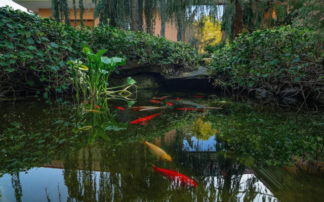 M Taj13 Madrid Chalet de Lujo con Piscina Gim