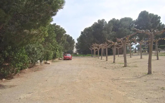 Maisonnette petit jardin barbecue Calafat Tridente 2