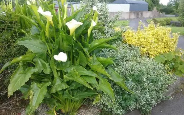 Rocksberry Bed & Breakfast