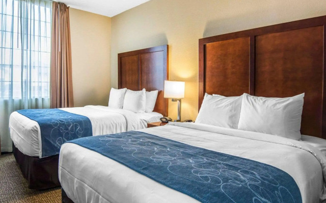 Comfort Suites Fredericksburg South