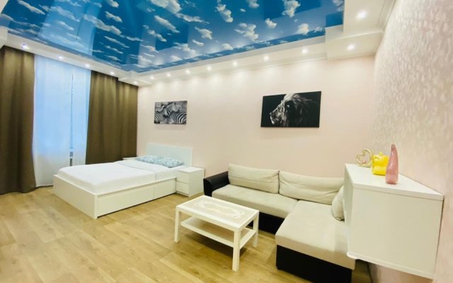 Apartment Hanaka Vladimirskaya 9