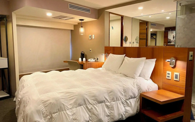 Express Mision Df - Zona Rosa