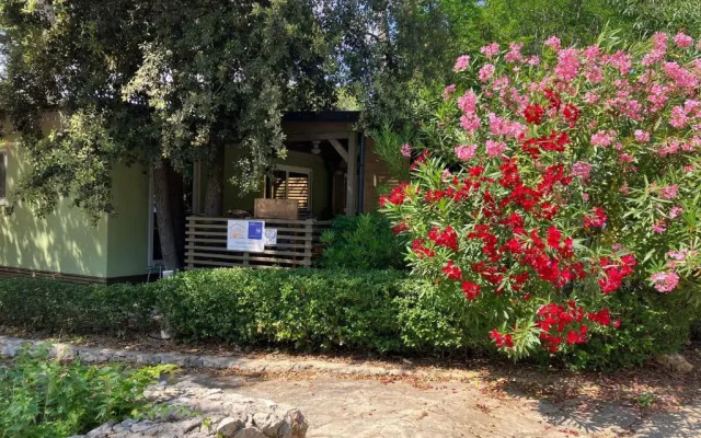 Campsite Sunny Home Soline