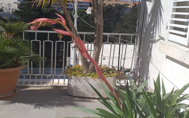 Plavi Žal Apartment