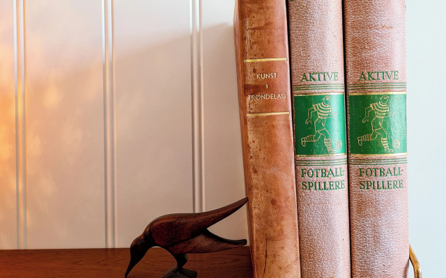 Vauldalen Fjellhotell