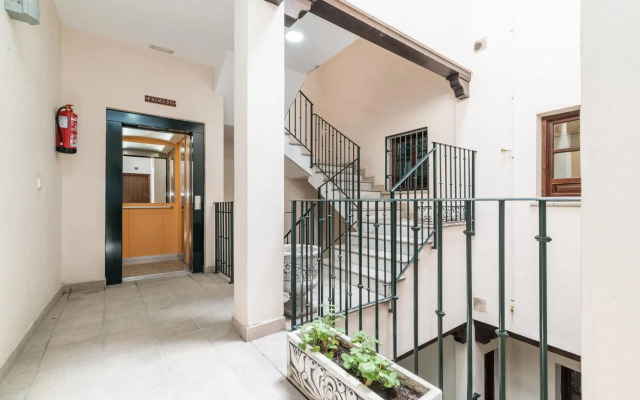 Modern Cozy flat in Granada's city centre 1