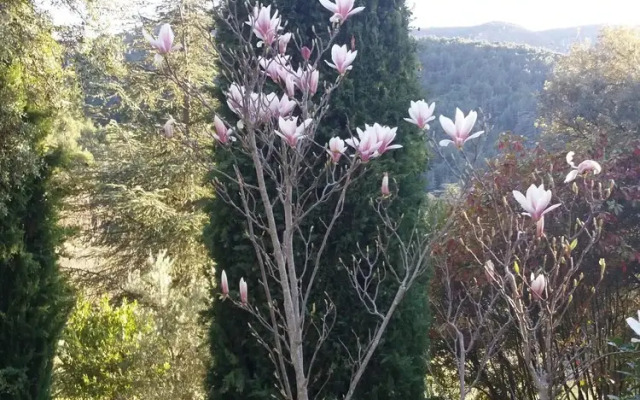 Luberon's Hidden Gem