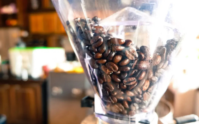 OYO 718 Grace Hostel