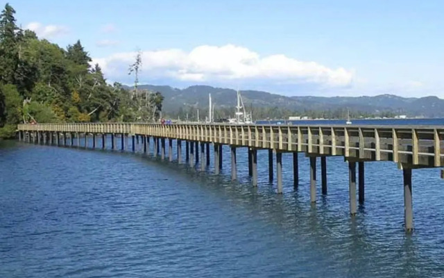 Seagull Studio Vacation Guest Suite