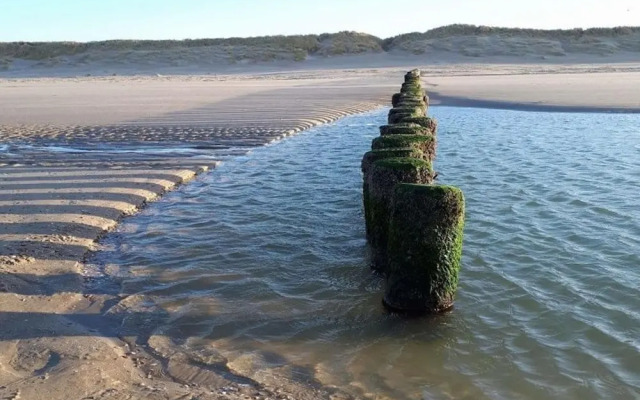 Holiday Home in Ameland by Golf Course