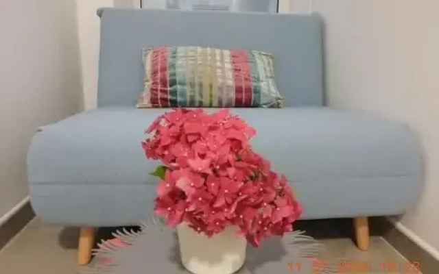 Apartma Ada