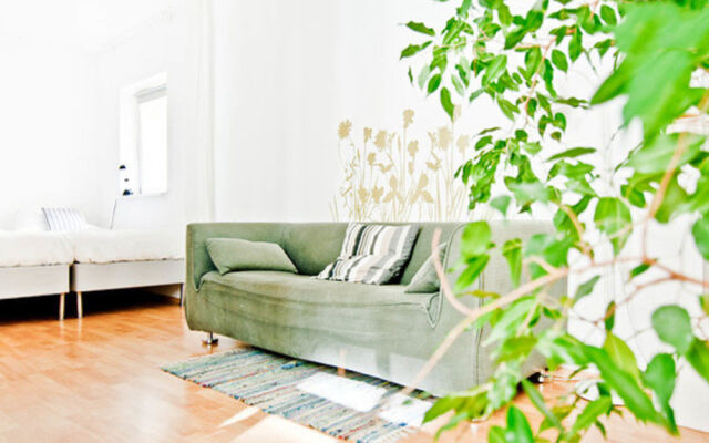 Sunny Boutique Studio Apartment