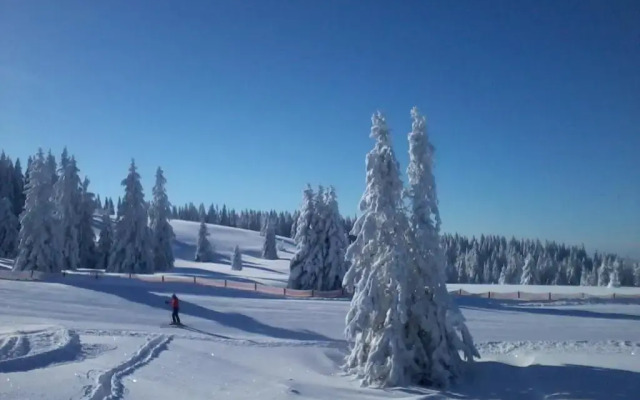 Ferienwohnung Seeblick Nr 3, 2 Zi-Bärental, Feldberg