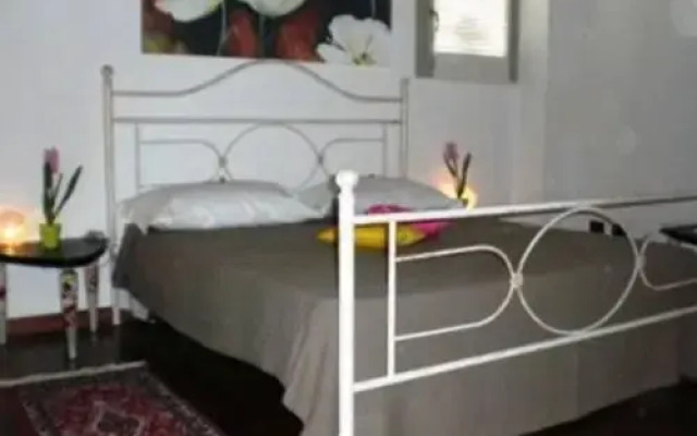 Abelia Holiday House