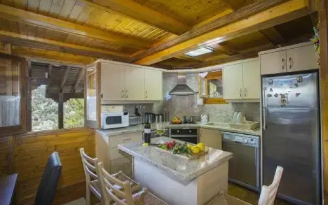 Ricky Chalet Near Troodos