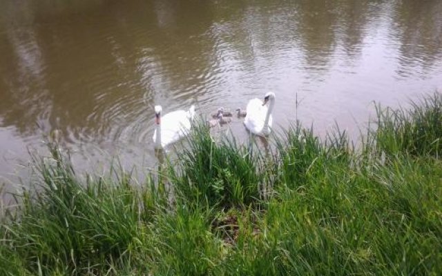 Yourtes Du Moulin Bertrand