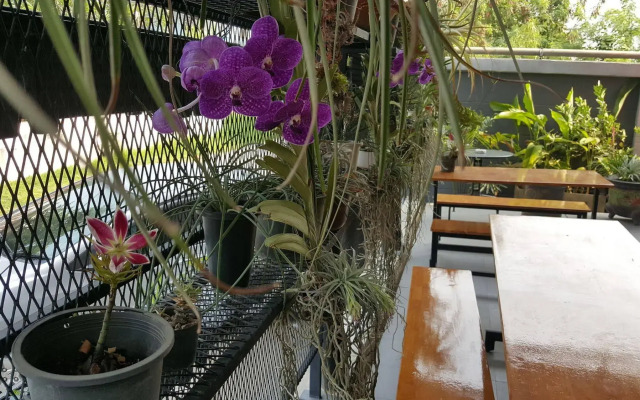 ZEN Rooms Ricco Suvarnabhumi